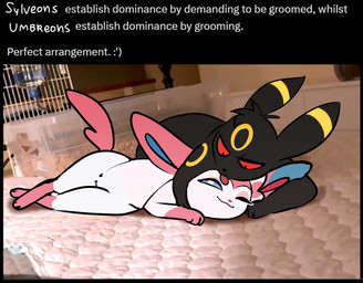 black_body black_border black_eyes black_fur black_nose blue_body blue_fur blue_inner_ear blue_sclera border bow_(anatomy) cat_smile closed_smile duo eyelashes feral fur head_tuft hug inside licking licking_another lying male male_feral markings mattress mouth_closed one_eye_closed paws personal_grooming photo_background pink_body pink_fur pink_inner_ear pink_tail real red_sclera ring_(marking) smile tail text tongue tongue_out tuft white_body white_eyes white_fur white_text yellow_body yellow_fur odeko-yma nintendo pokemon lucky_(odeko-yma) pix_(odeko-yma) eeveelution generation_2_pokemon generation_6_pokemon pokemon_(species) sylveon umbreon 2026 hi_res meme mixed_media photography_(artwork)