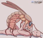 antennae_(anatomy) arthropod_abdomen arthropod_abdomen_genitalia arthropod_abdomen_penetration arthropod_abdomen_pussy bestiality bodily_fluids body_hair brown_body clenched_teeth compound_eyes cowgirl_position cum cum_in_pussy cum_inside dominant dominant_female duo eyes_closed feelers female female_on_human female_on_top feral feral_penetrated from_front_position genital_fluids genitals grey_background heart_eyes heart_symbol holding_leg human_on_feral human_penetrating human_penetrating_feral insectophilia interspecies leg_hair lying male male/female male_on_feral multi_limb on_back on_bottom on_top open_mouth orange_body penetration penile penile_penetration pink_body pink_skin pussy questionable_consent red_body saliva sex shadow simple_background tan_body teardrop tears teeth text vaginal vaginal_penetration wings roachelle discord_(app) arthropod blattodea cockroach human insect mammal 2022 dated hi_res signature url watermark