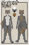 anthro brown_body brown_fur featureless_crotch fur grey_body grey_eyes grey_fur looking_at_viewer male nude solo white_body white_fur marsminer mammal rodent sciurid tree_squirrel 2024 hi_res model_sheet