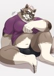 anthro belly bulge clothed clothing clothing_lift kemono male navel overweight overweight_male shirt shirt_lift simple_background sitting solo topwear underwear ry_o lifewonders live_a_hero viscunam mammal procyonid raccoon 2024 hi_res