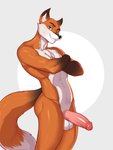 3:4 absurd_res anthro athletic balls blue_eyes canid canine chest_tuft dipstick_tail erection fox foxyghost fur genitals glistening glistening_body glistening_fur hi_res humanoid_genitalia humanoid_penis male mammal markings multicolored_tail muscular muscular_anthro muscular_male orange_body orange_fur penis pink_penis racoe smile solo tail tail_markings tuft white_body white_fur