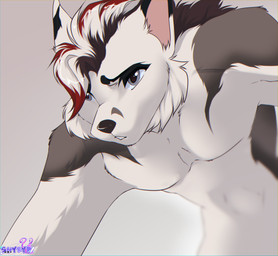 anthro black_nose body_hair chest_hair fur grey_body grey_eyes grey_fur hair head_tuft looking_at_viewer male multicolored_hair nude simple_background solo tuft white_body white_fur shyryp canid canine canis mammal wolf digital_media_(artwork) hi_res portrait signature watermark