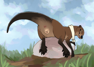 animal_genitalia animal_vulva anus bedroom_eyes blep female feral genitals grass looking_at_viewer narrowed_eyes paws plant presenting presenting_anus presenting_vulva scarf seductive simple_background sky solo tongue tongue_out vulva queenkoko tillie_(queenkoko) mammal mustelid otter river_otter hi_res