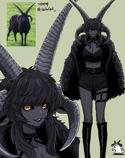 4_horns bangs belt biped black_hair black_sclera boots bottomwear breasts clothed clothed_female clothed_humanoid clothing comparison creature_and_personification crop_top eyelashes female female_humanoid feral footwear fully_clothed fully_clothed_female fully_clothed_humanoid grey_body grey_skin hair horizontal_pupils horn humanoidized iris melanistic midriff multi_horn photo_reference pupils real reference_inset shirt shoes shorts solo topwear gegegekman animal_humanoid bovid bovid_humanoid caprine caprine_humanoid domestic_sheep hebridean_sheep humanoid jacob_sheep mammal mammal_humanoid sheep sheep_humanoid 2025 hi_res reference_image