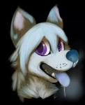 anthro arctic bangs black_background blue_nose blue_tongue bodily_fluids breath dripping happy looking_at_viewer male pale panting purple_eyes saliva simple_background smile solo tongue murcat arctic_fox canid canine fox mammal true_fox digital_media_(artwork) headshot_portrait portrait