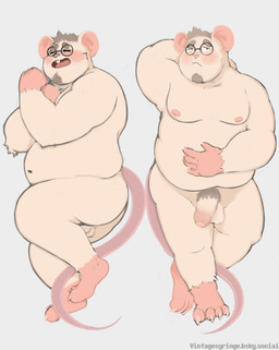 anthro balls belly big_belly dakimakura eyewear foreskin genitals glasses humanoid_genitalia humanoid_penis male moobs nipples nude overweight overweight_male penis pubes solo vintagesyringe xxl_woofia code_k mammal mouse murid murine rodent 2025 dakimakura_design hi_res
