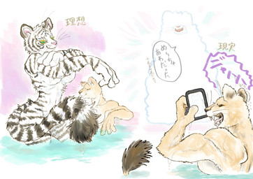 anthro bathing breasts cellphone convenient_censorship duo electronics female fluffy fur green_eyes leucistic muscular muscular_female nude phone simple_background stripes tail text water wet kyokyota felid lion mammal pantherine tiger 2019 absurd_res hi_res japanese_text translated