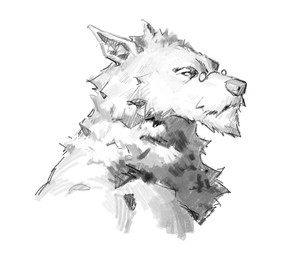 anthro eyebrows eyewear front_view fur glasses looking_aside male pince-nez pointy_ears round_glasses simple_background snout solo wearing_glasses white_background kingarthur_i canid mammal 2024 bust_portrait digital_drawing_(artwork) digital_media_(artwork) greyscale monochrome portrait shaded shaded_line_art