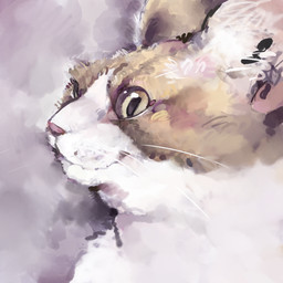 ambiguous_feral ambiguous_gender brown_body brown_ears brown_fur feral fur inner_ear_fluff mouth_closed multicolored_body multicolored_fur pink_inner_ear pink_nose pupils side_view slit_pupils snout solo tuft two_tone_body two_tone_fur whiskers white_body white_fur white_inner_ear_fluff white_whiskers yellow_eyes youjomodoki domestic_cat felid feline felis mammal 1:1 2025 absurd_res headshot_portrait hi_res icon portrait