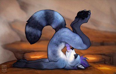 animal_genitalia animal_penis anthro autofellatio blue_body blue_fur blue_tail bodily_fluids canine_genitalia canine_penis claws cum cum_in_mouth cum_in_own_mouth cum_in_self cum_inside erection eyes_closed feet fingers fur genital_fluids genitals hair knot knotted_penis male masturbation mismatched_animal_penis mismatched_genitalia mismatched_penis nude oral oral_masturbation outside penile penile_masturbation penis penis_in_mouth purple_hair side_view solo tail teeth toes tongue anchee dusk_(finitemachine) mammal procyonid raccoon 2025 hi_res