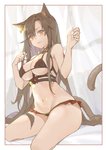 5_fingers big_breasts blush bodily_fluids bra breasts brown_eyes clothing ear_piercing ear_ring female fingers hair long_hair looking_at_viewer navel piercing ring_piercing sitting solo tears underwear kotatsu_kaya arknights hypergryph studio_montagne skyfire_(arknights) animal_humanoid cat_humanoid felid felid_humanoid feline feline_humanoid humanoid mammal mammal_humanoid 2020 absurd_res hi_res