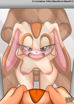 aged_up anthro anthro_penetrated arm_grab balls breasts brown_body brown_eyes brown_penis brown_skin dark_body dark_penis dark_skin duo faceless_character faceless_male female first_person_view fur genitals half-closed_eyes human_on_anthro human_penetrating human_penetrating_anthro human_penetrating_female interspecies looking_at_viewer looking_pleasured male male/female mirror mirror_reflection narrowed_eyes nipples open_mouth penetration penis rabbit_ears reflection reflective_body sex tan_body tan_fur tongue vaginal vaginal_penetration sirjzau sega sonic_the_hedgehog_(series) cream_the_rabbit human lagomorph leporid mammal rabbit hi_res