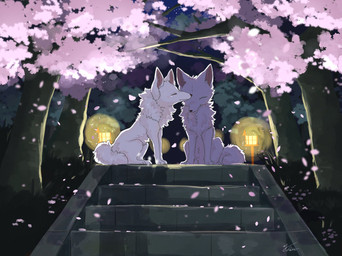 ambiguous_gender black_nose cherry_blossom detailed_background duo eyes_closed feet feral flower fluffy fluffy_tail forest fur inner_ear_fluff lamp lantern monotone_body monotone_fur monotone_tail nature nature_background night outside pink_inner_ear plant prunus_(flower) quadruped sitting sky star starry_sky tail toes tree tuft white_body white_fur fusau canid canine canis fox mammal 2026 detailed digital_media_(artwork) hi_res shaded signature