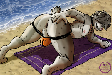 all_fours anthro anus backsack balls beach beach_towel butt clothed clothing genitals hair hair_over_eyes jockstrap jockstrap_only looking_at_viewer looking_back male nipples perineum presenting presenting_hindquarters resting_on_elbow sand short_tail smile solo spread_butt spreading tail topless towel underwear underwear_only water giko182 australian_shepherd canid canine canis domestic_dog herding_dog mammal pastoral_dog sheepdog absurd_res hi_res