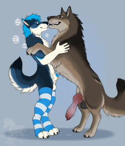 animal_genitalia animal_penis anthro anthro_on_feral balls bestiality big_knot big_penis biped blue_clothing blue_legwear blue_thigh_highs bodily_fluids butt canine_genitalia canine_penis claws clothed clothed_anthro clothed_male clothing dominant dominant_feral dominant_male duo erection feet feral fur furgonomic_piercing furgonomics genital_fluids genital_piercing genitals hair intraspecies intraspecies_bestiality knot knotted_penis larger_dom larger_feral larger_male legwear lipsticking male male/male male_anthro male_feral male_on_anthro male_on_feral on_hind_legs pattern_clothing pattern_legwear pattern_thigh_highs penis piercing precum precum_on_ground precum_string sheath sheath_piercing size_difference smaller_anthro smaller_male smile striped_clothing striped_legwear striped_thigh_highs stripes submissive submissive_anthro submissive_male tail teeth thigh_highs throbbing throbbing_penis toes fenn.perrox canid canine canis mammal wolf 2026 digital_drawing_(artwork) digital_media_(artwork) hi_res
