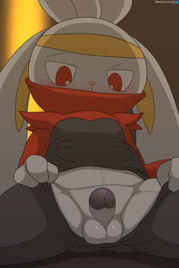 accessory anthro balls black_bottomwear black_clothing black_pants black_shirt black_topwear blush bottomwear clothed clothing covered_mouth erection fur genitals glans headband humanoid_genitalia humanoid_penis looking_down male open_bottomwear open_clothing open_pants pants penis pupils purple_glans red_eyes shirt sitting solo spread_legs spreading topwear white_balls white_body white_fur white_penis white_pupils yellow_headband yellow_inner_ear yellow_nose winick-lim nintendo pokemon generation_8_pokemon lagomorph mammal pokemon_(species) raboot 2026 absurd_res hi_res