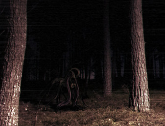 ambiguous_gender body_horror dark emaciated feral forest grass hair horror_(theme) long_hair long_neck night photo_background plant quadruped solo tree vhs_filter wings toxicsoul77 friendship_is_magic goretober hasbro infection_au my_little_pony mythology fluttershy_(mlp) equid equine horse mammal monster mythological_creature mythological_equine pegasus pony 2024 digital_drawing_(artwork) digital_media_(artwork) english_description photography_(artwork)