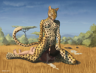 anthro brown_hair claws clothing cunnilingus detailed_background dominant dominant_female duo facesitting female fur hair human_on_anthro interspecies male male/female markings multicolored_body multicolored_fur nipples nude on_top open_mouth oral outside pink_nipples pink_nose pulling_hair sex short_hair sitting_on_another spots spotted_body spotted_fur straddling submissive submissive_male tan_body tan_fur torn_clothing touching_hair vaginal whiskers yellow_body yellow_eyes yellow_fur synthet felid human leopard mammal pantherine 2015 digital_media_(artwork)