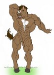 5_fingers abs anthro back_muscles biceps big_muscles biped blue_eyes brown_body brown_eyebrows brown_fur brown_tail eyebrows featureless_crotch feet fingers flexing front_view fur grass hair hand_behind_head hooves huge_muscles looking_at_viewer male mane multicolored_body muscular muscular_anthro muscular_male nipples nude pecs plant pose simple_background smile solo standing tail triceps two_tone_body white_background ripped-saurian equid equine horse mammal 2010 hi_res