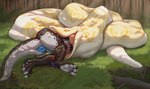 ambiguous_gender ambiguous_pred anus big_butt butt duo female female_prey feral feral_pred feral_prey genitals grass larger_pred oral_vore plant puffy_anus pussy size_difference swallowing swamp tail vore thaz_(artist) mythology alym salem_(rothar) dragon mythological_creature mythological_scalie prehistoric_species reptile scalie snake titanoboa hi_res male_(lore)
