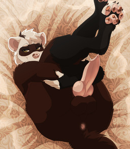 animal_genitalia animal_penis anthro anus balls bedding canine_genitalia canine_penis cheek_tuft claws facial_tuft genitals high-angle_view knot knotted_penis legs_up looking_at_viewer lying male mismatched_animal_genitalia mismatched_animal_penis mismatched_genitalia mismatched_penis on_back pawpads penis smile solo tuft lawkie domestic_ferret mammal mustelid musteline true_musteline weasel hi_res