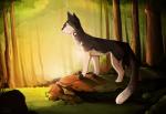 ambiguous_gender black_body black_fur day detailed_background feral forest fur outside plant solo standing tail tree maplespyder warriors_(book_series) tallstar_(warriors) domestic_cat felid feline felis mammal tuxedo_cat 2015 digital_media_(artwork) digital_painting_(artwork) shaded soft_shading male_(lore)