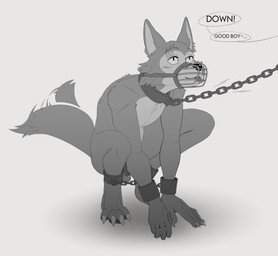 4_toes anthro balls barefoot bdsm blep bodily_fluids bondage bound chain chain_leash chained claws collar cuff_(restraint) dialogue feet fur gag genital_fluids genitals good_boy grey_body grey_fur leash male muzzle_(object) muzzled nude offscreen_character petplay plantigrade precum restrained restraints roleplay shackles slave solo submissive submissive_male tail tail_motion tailwag text toe_claws toes tongue tongue_out wire_basket_muzzle 100racs beastars legoshi_(beastars) canid canine canis mammal wolf 2020 absurd_res english_text hi_res