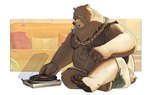 anthro bottomwear brown_body brown_fur chain_necklace clothing detailed_background eye_scar facial_scar fur inside jewelry male necklace overweight overweight_male pawpads scar shirt shorts sitting sitting_on_ground solo tank_top topwear unatazaamarilla mihoyo zenless_zone_zero ben_bigger bear mammal 2024 absurd_res hi_res