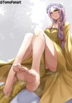 5_toes breasts clothed clothing dress feet female foot_focus hair heterochromia humanoid_feet not_furry plantigrade purple_hair solo toes tomodachi fire_emblem fire_emblem_the_binding_blade nintendo idunn_(fire_emblem) elf humanoid absurd_res hi_res