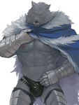 abs anthro areola barazoku black_nose bulge cape clothed clothing fur male muscular muscular_anthro muscular_male nipples pecs scar simple_background solo underwear white_background fug@9 elden_ring fromsoftware blaidd_(elden_ring) canid canine canis mammal wolf 2025 3:4