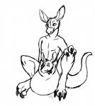 animal_genitalia cock_transformation dual duo fusion genitals male merging pouch_(anatomy) sentient_penis sheath transformation what currypuppy thatoneweirdo kangaroo macropod mammal marsupial monochrome