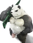 anthro balls black_body black_fur fur genitals gun male muscular muscular_anthro muscular_male nipples penis ranged_weapon solo standing weapon white_body white_fur debirobu bad_2_bad pan_colman bear giant_panda mammal