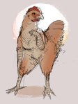anthro beak black_eyes breasts claws eyelashes female medium_breasts non-mammal_breasts nude simple_background solo standing tail thick_thighs wide_hips yellow_sclera rambrandt-the-painter avian bird chicken galliform gallus_(genus) phasianid absurd_res digital_media_(artwork) hi_res