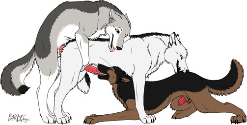 all_fours anal anal_penetration bite doggystyle erection eyes_closed fellatio feral feral_on_feral feral_penetrated feral_penetrating feral_penetrating_feral from_behind_position genitals group group_sex licking male male/male male_penetrated male_penetrating male_penetrating_male mating_grip oral penetration penile penile_penetration penis penis_in_ass penis_lick rounded_back sex simple_background tail threesome tongue tongue_out trio white_background barkwoof canid canine canis domestic_dog mammal