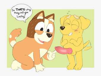 age_difference animal_genitalia animal_penis anthro balls big_penis blush bodily_fluids brown_body brown_fur canine_genitalia canine_penis dialogue duo erection eyes_closed female fur genitals gloves_(marking) kneeling knot knotted_penis leg_markings male markings orange_body orange_fur penis small_but_hung socks_(marking) speech_bubble stroking_penis sweat sweatdrop tail tail_motion tailwag tickling tickling_genitalia tickling_penis tiptoes yellow_body yellow_fur young young_anthro young_male canyon_(artist) bluey_(series) chilli_heeler lucky_(bluey) australian_cattle_dog bird_dog canid canine canis cattledog domestic_dog herding_dog hunting_dog labrador mammal mixed_breed pastoral_dog retriever 4:3 hi_res