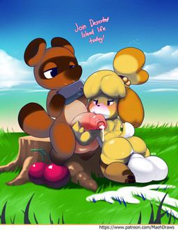 after_orgasm after_sex anthro anthro_on_anthro backsack balls big_balls big_penis biped black_eyes blonde_hair blush bodily_fluids brown_body brown_fur cellphone cherry chibi clothing cloud crossgender cum cum_drip cum_on_ground cum_splatter day detailed_background dipstick_ears dipstick_tail dripping duo ear_markings electronics erection feet fellatio floppy_ears food foreskin fruit ftm_crossgender fur genital_fluids genitals gloves grass hair half-closed_eyes handwear hindpaw holding_cellphone holding_object holding_penis holding_phone huge_balls humanoid_genitalia humanoid_penis kneeling leg_markings looking_at_genitalia looking_at_penis male male/male markings multicolored_body multicolored_ears multicolored_fur multicolored_hair multicolored_tail narrowed_eyes nude onomatopoeia oral orange_hair outside paws penile penis phone photographer plant sea seaside sex sitting sitting_on_stump sky socks_(marking) sound_effects tail tail_markings taking_picture tan_body tan_fur text tree_stump two_tone_ears two_tone_hair two_tone_tail unretracted_foreskin water white_body white_fur yellow_body yellow_fur maehdoggie animal_crossing nintendo isabelle_(animal_crossing) tom_nook_(animal_crossing) canid canine canis domestic_dog mammal raccoon_dog shih_tzu tanuki toy_dog absurd_res english_text hi_res url