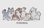 ambiguous_gender blep brown_body brown_fur countershade_fur countershading excited feral fur grey_body grey_fur group looking_at_viewer looking_away quadruped tongue tongue_out white_body white_countershading white_fur rinrinwolf canid canine canis mammal wolf 2024 hi_res