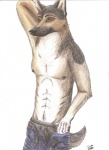 abs anthro boxers_(clothing) brown_eyes chest_tuft clothed clothing fur male nipples pose simple_background smile solo topless tuft underwear undressing whiskers white_background iowa canid canine canis domestic_dog german_shepherd herding_dog mammal pastoral_dog 2010 colored hi_res