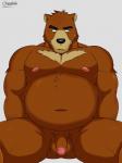 anthro balls belly biped black_nose brown_body brown_fur circumcised flaccid fur genitals humanoid_genitalia humanoid_penis male moobs navel nipples overweight overweight_anthro overweight_male penis sitting solo cheotdo morenatsu juuichi_mikazuki bear mammal 2019 hi_res