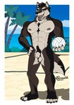 4_toes abs animal_genitalia anthro ball ball_tuft balls beach beach_scene biceps big_chest big_muscles black_body black_claws black_fur black_nose black_pawpads blue_eyes border broad_shoulders brown_body brown_fur brown_nipples bulge calf_muscles cheek_tuft chest_tuft claws cloud countershading day dipstick_fingers dipstick_toes facial_tuft feet finger_claws fingers fluffy fluffy_tail fur genitals greenery grey_body grey_fur hand_on_hip head_tuft holding_volleyball leg_markings looking_at_viewer male markings multicolored_body multicolored_fur muscular muscular_anthro muscular_male navel neck_tuft net nipple_piercing nipples nude open_mouth outside palm_tree pawpads paws pecs piercing plant plantigrade pose pubes pupils roman_numeral sand sea serratus sheath sky slit_pupils smile socks_(marking) solo standing tail teeth toe_claws toes tongue tree tuft volleyball_(ball) volleyball_net water white_border grimsvault pines sade_(canonical) canid canine canis mammal mexican_wolf wolf 2023 artist_name cel_shading digital_drawing_(artwork) digital_media_(artwork) hi_res shaded signature simple_shading smaller_version_at_source