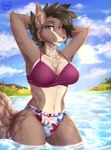 anthro beach big_breasts bikini bikini_bottom bikini_top breasts brown_body brown_fur clothed clothing cloud detailed_background female fur hair looking_at_viewer open_mouth outside partially_submerged plant seaside sky smile solo sun swimwear topwear two-piece_swimsuit water kotezio zoe_(arcori) canid canine canis mammal digital_media_(artwork) hi_res portrait three-quarter_portrait