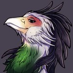 1:1 2024 absurd_res accipitriform avian bird bust_portrait digital_media_(artwork) feathers female feral green_body green_feathers hi_res icon looking_at_viewer mollin multicolored_body multicolored_feathers portrait secretary_bird seraphina_(shimmeringspectrum) shimmering_spectrum side_view simple_background solo
