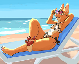 4_toes anthro barefoot beach breasts bulge claws clothed clothing crossed_legs digit_ring eyewear feet fingers fur glasses gynomorph hindpaw intersex jewelry orange_body orange_fur pawpads paws plantigrade plantigrade_pawpads ring smile soles solo spread_toes swimwear toe_ring toes pimientanas dreamworks the_bad_guys diane_foxington canid canine fox mammal digital_media_(artwork)