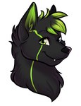 anthro black_body black_fur fur green_hairtips heterochromia male solo ohsadface canid canine canis mammal wolf headshot_portrait hi_res portrait