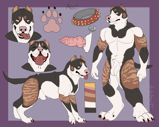 animal_genitalia animal_penis anthro balls canine_genitalia canine_penis collar erection eyes_closed feral fully_sheathed genitals knot knotted_penis male male_anthro multiple_angles muscular muscular_anthro muscular_male nude nude_anthro nude_male open_mouth open_smile penis sheath simple_background smile solo spiked_collar spikes teeth tongue tongue_out chubchow canid canine canis domestic_dog mammal pit_bull 2017 5:4