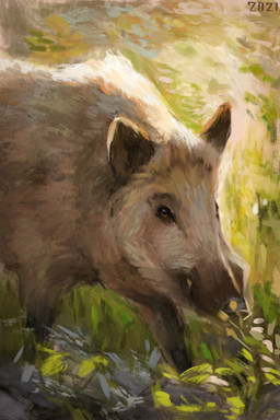 amber_eyes brown_body brown_fur feral fur grass outside plant quadruped solo tan_body tan_fur walking alexpahomov mammal suid suine sus_(pig) wild_boar 2021 hi_res