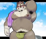 anthro armpit_hair belly blush body_hair brown_body brown_fur bulge clothing fur grin heart_sunglasses male musclegut muscular navel nipples pecs raised_arm smile solo speedo swimwear towel mrookii lifewonders live_a_hero viscunam mammal procyonid raccoon hi_res