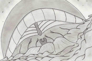 anthro anthro_pred baleen male male_pred mouth_shot open_mouth solo uvula vore coastchiller coasty_(coastchiller) aquatic avian baleen_whale bird cetacean mammal whale 2026 sketch