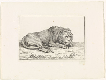 backsack balls digitigrade feral genitals grass head_down lying lying_on_ground male male_feral mane on_ground plant quadruped side_view solo tail whiskers bernard_picart public_domain felid lion mammal pantherine 1729 18th_century absurd_res ancient_art hatching_(art) hi_res monochrome shaded signature traditional_media_(artwork)