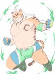 anthro beard belly bottomwear clothing facial_hair humanoid_hands male moobs navel nipples overweight overweight_anthro overweight_male shorts solo kisaragi_syoo lifewonders tokyo_afterschool_summoners hombre_tigre_(tas) felid mammal pantherine tiger 2019 hi_res